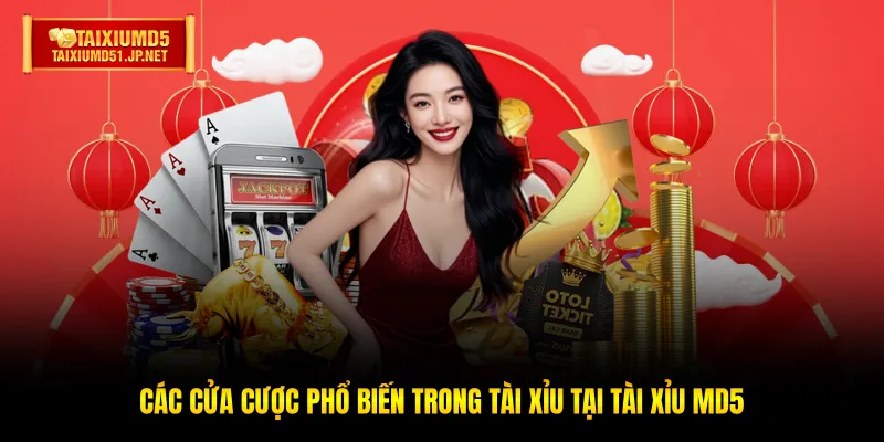 Các cửa cược phổ biến trong Tài Xỉu tại Tài Xỉu MD5 Các cửa cược phổ biến trong Tài Xỉu tại Tài Xỉu MD5
